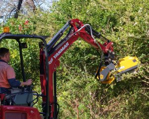 FEMAC T1-80 Mulcher